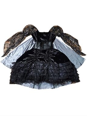Chasing Fireflies Velvet & Lace Floral Ruched Whimsigoth 4 Piece Witch Costume